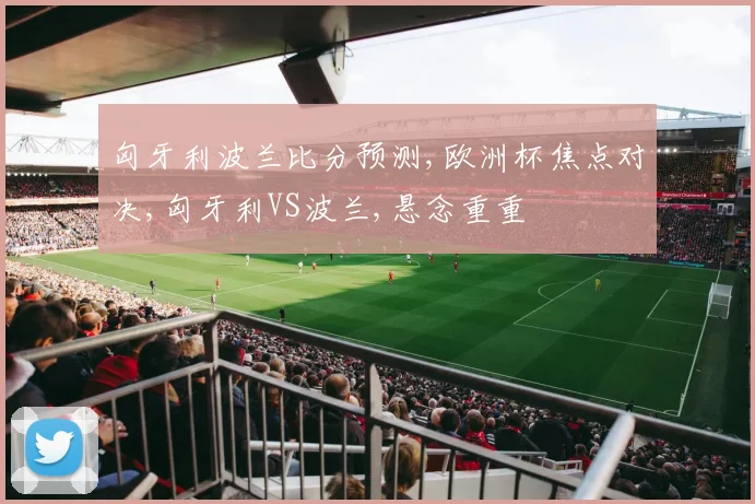 匈牙利波兰比分预测,欧洲杯焦点对决,匈牙利VS波兰,悬念重重