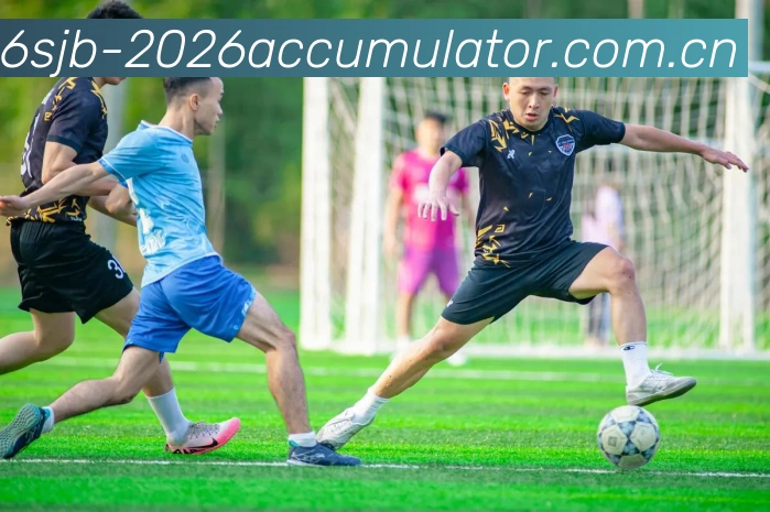世界杯2026 accumulator服务体系